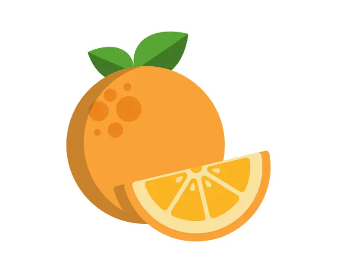 Orange Fabric