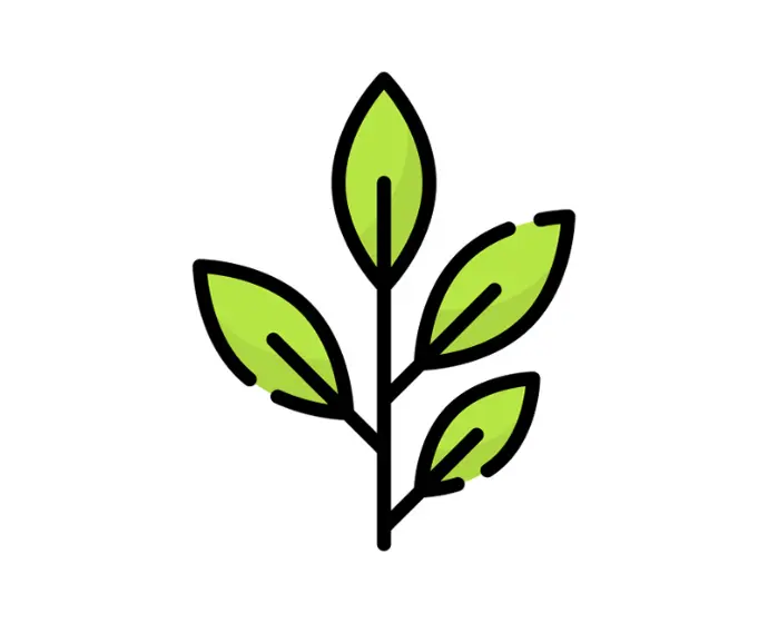 Eucalyptus Fabric