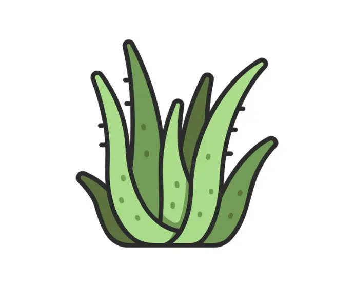 Aloevera Fabric