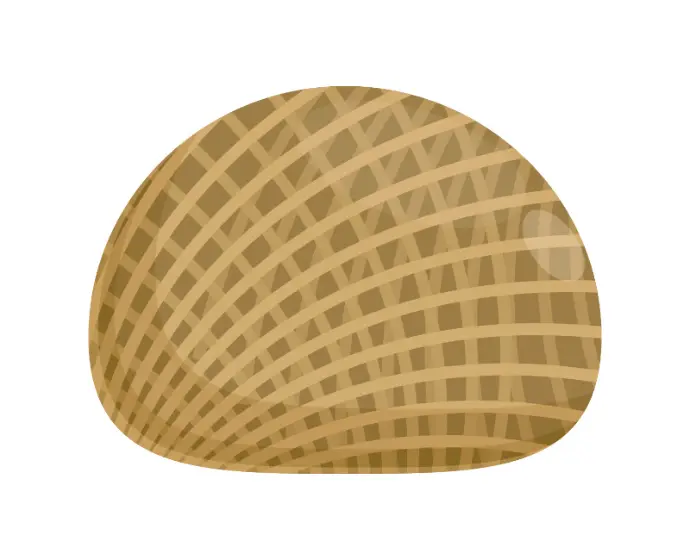 Organic Jute Fabric