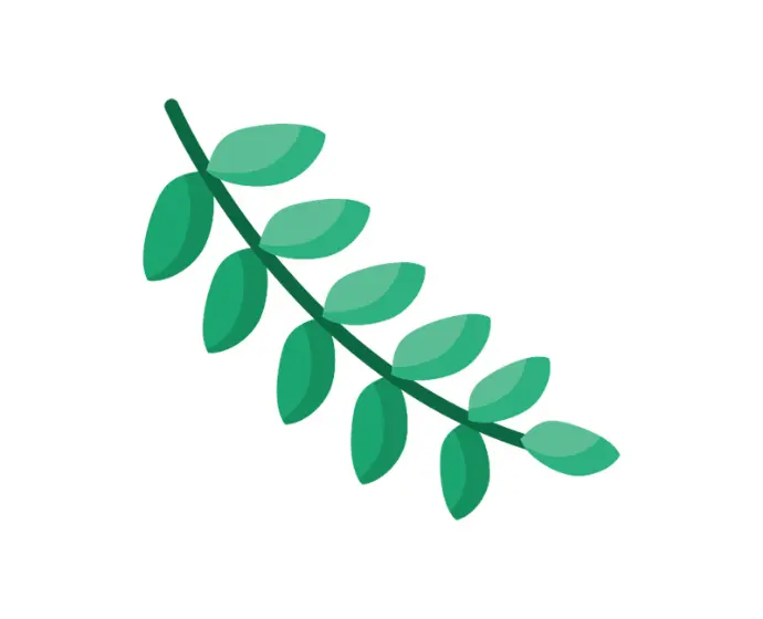 Neem Fabric