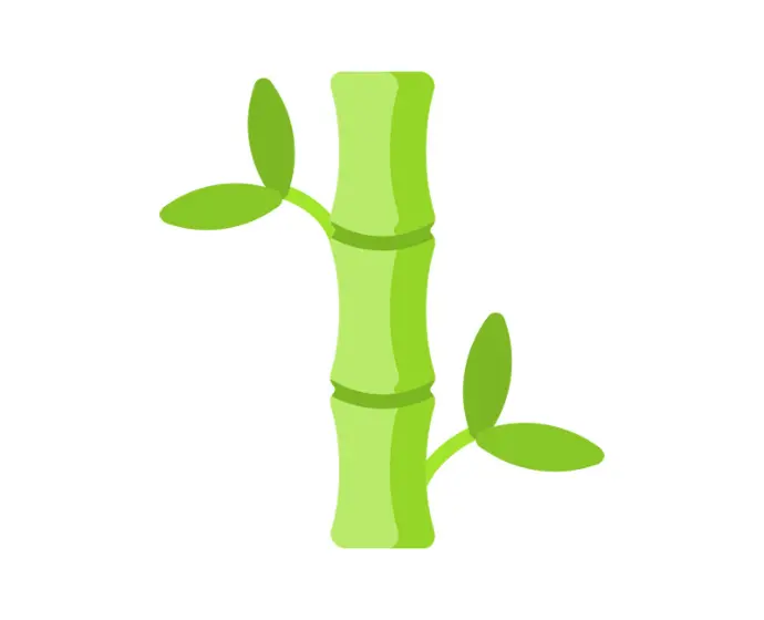 Bamboo Fabric