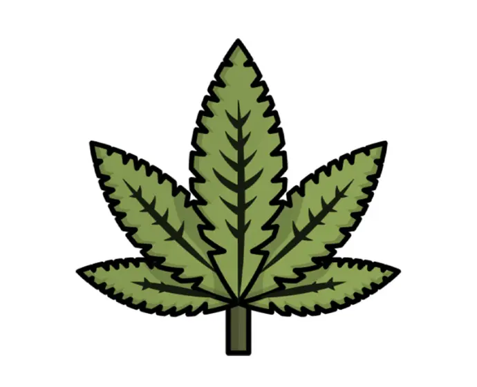 Hemp Fabric